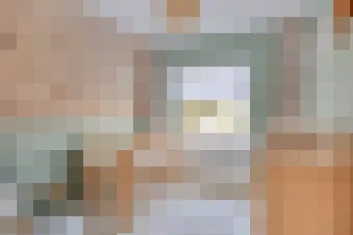 van Swietenstraat 50 Zoeterwoude thumbnail 30