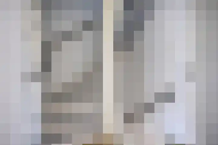 van Swietenstraat 50 Zoeterwoude thumbnail 32