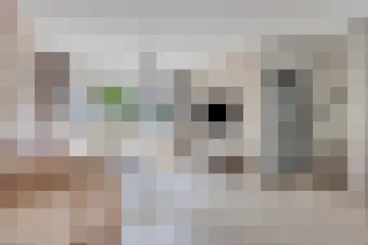 van Swietenstraat 50 Zoeterwoude thumbnail 4