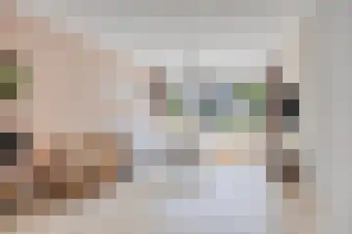 van Swietenstraat 50 Zoeterwoude thumbnail 5