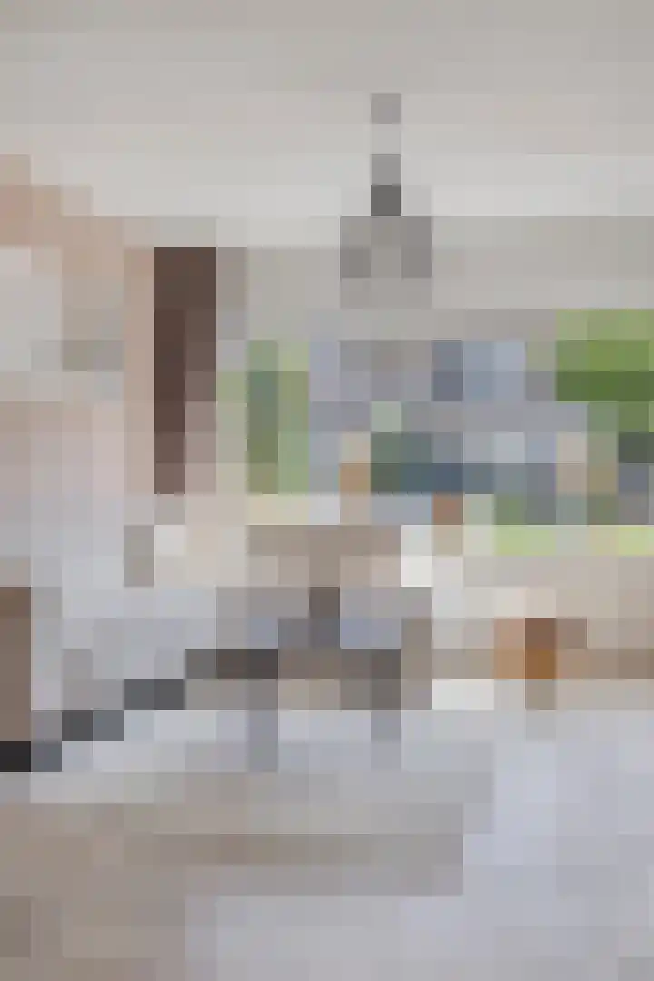 van Swietenstraat 50 Zoeterwoude thumbnail 6