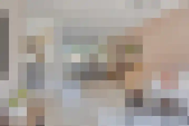 van Swietenstraat 50 Zoeterwoude thumbnail 9
