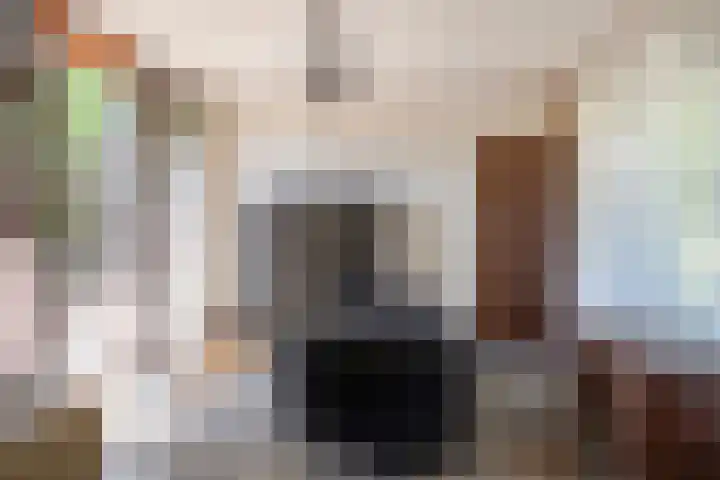 van Swietenstraat 6 Hengelo thumbnail 11