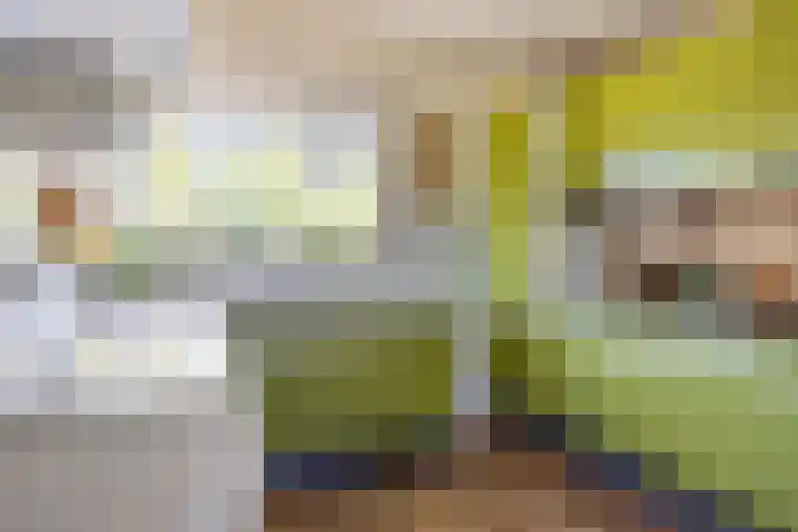 van Swietenstraat 6 Hengelo thumbnail 18