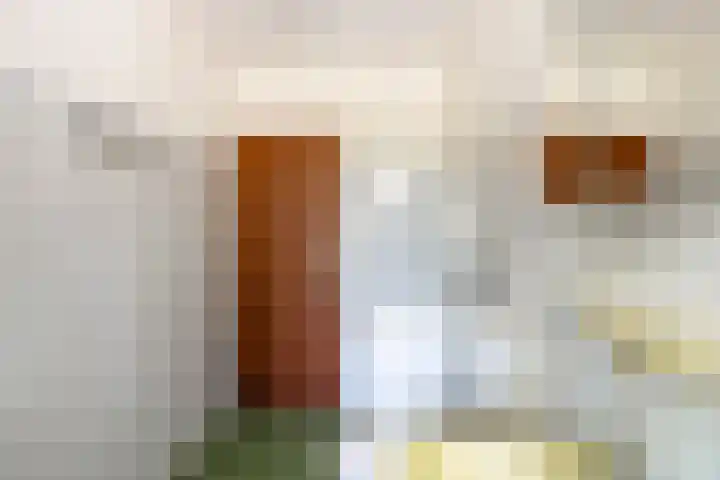van Swietenstraat 6 Hengelo thumbnail 25