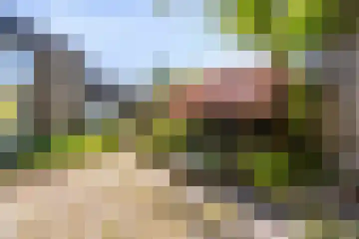 van Swietenstraat 6 Hengelo thumbnail 30