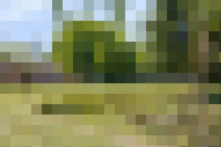 van Swietenstraat 6 Hengelo thumbnail 34