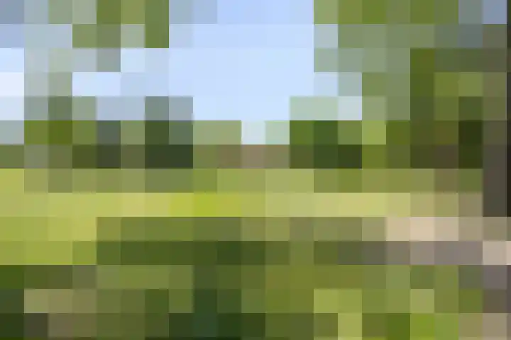 van Swietenstraat 6 Hengelo thumbnail 35