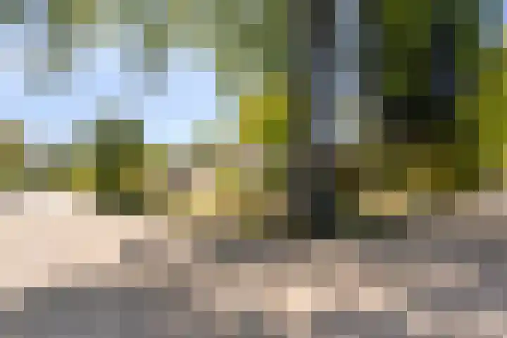 van Swietenstraat 6 Hengelo thumbnail 36