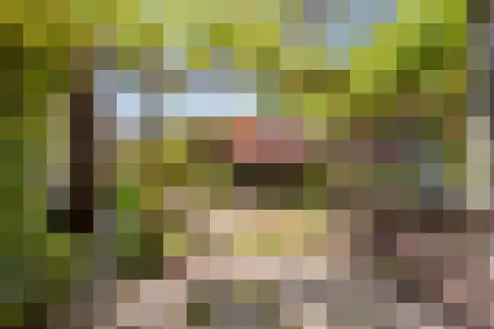 van Swietenstraat 6 Hengelo thumbnail 4