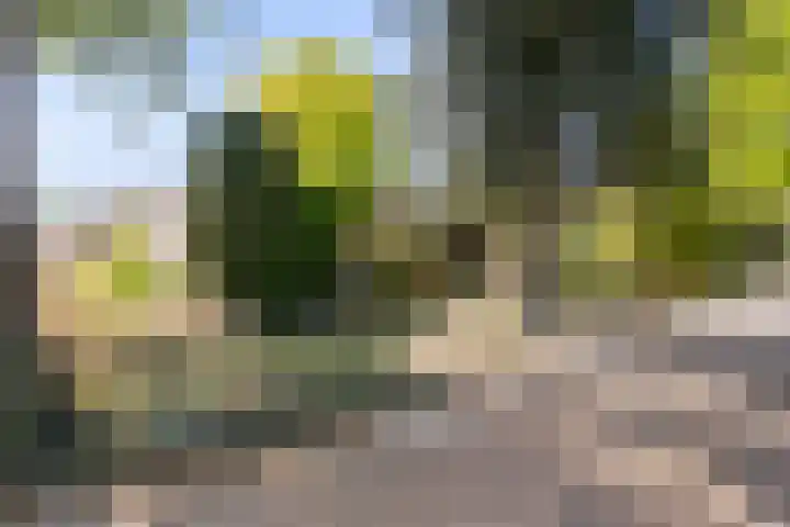 van Swietenstraat 6 Hengelo thumbnail 5