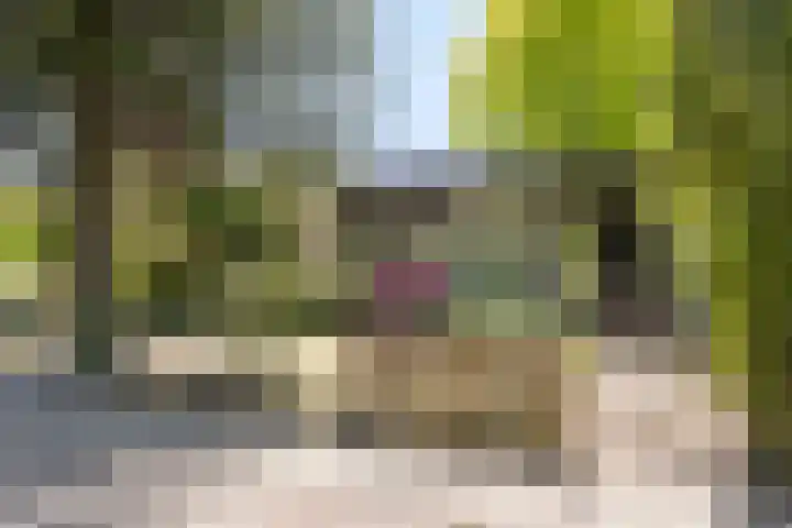 van Swietenstraat 6 Hengelo thumbnail 6