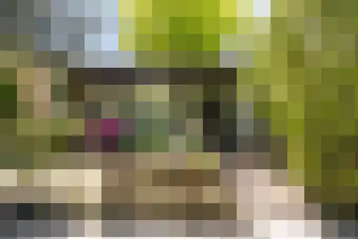 van Swietenstraat 6 Hengelo thumbnail 7