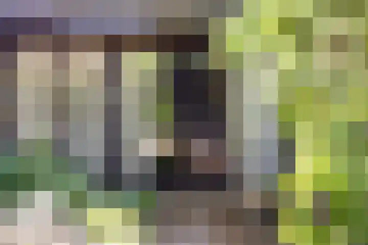 van Swietenstraat 6 Hengelo thumbnail 8