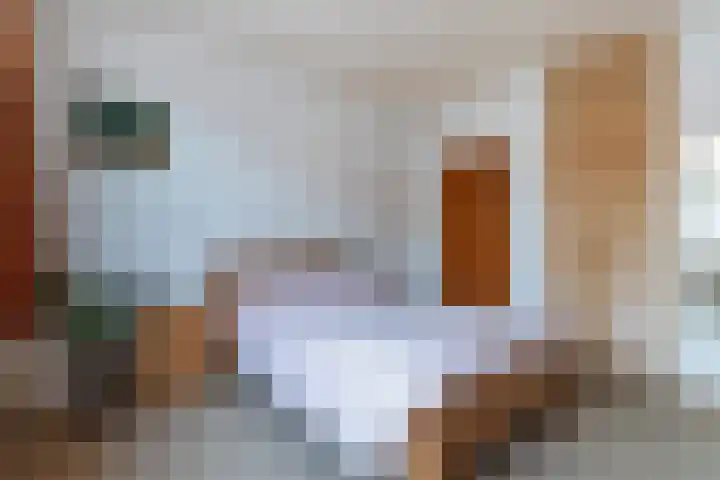 van Swietenstraat 7 Gouda thumbnail 33