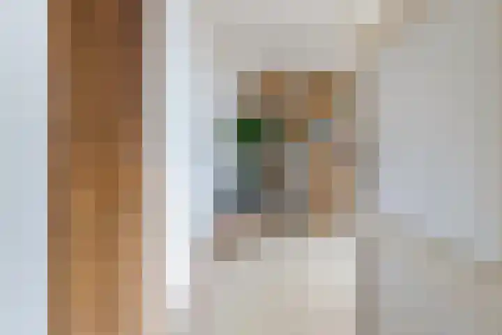 van Swietenstraat 7 Gouda thumbnail 35
