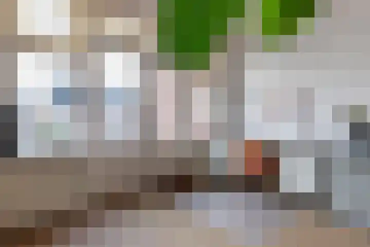 van Swietenstraat 7 Gouda thumbnail 37