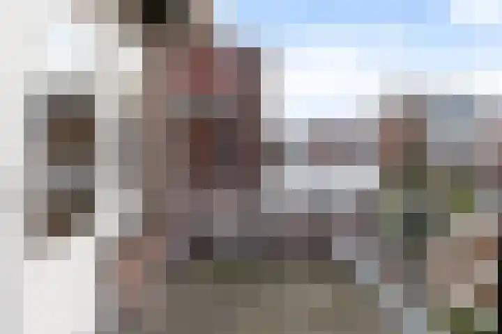 van Swietenstraat 7 Gouda thumbnail 41