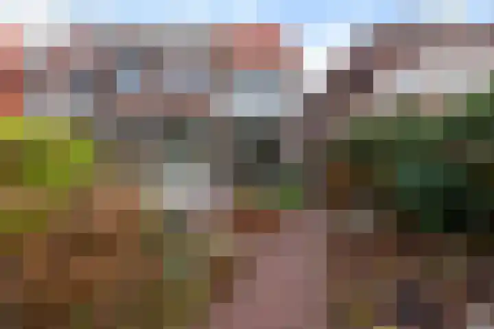 van Swietenstraat 7 Gouda thumbnail 5