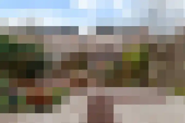 van Swietenstraat 7 Gouda thumbnail 56