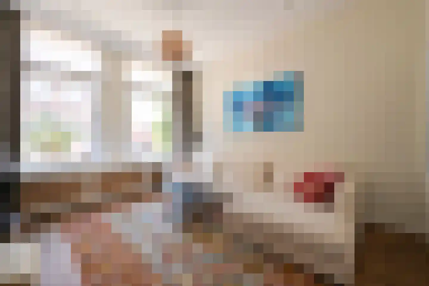 Van Swietenstraat 71 Den Haag thumbnail 15