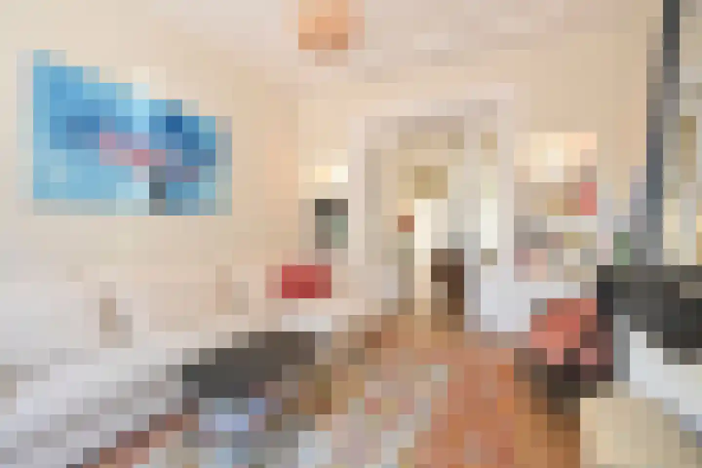 Van Swietenstraat 71 Den Haag thumbnail 19