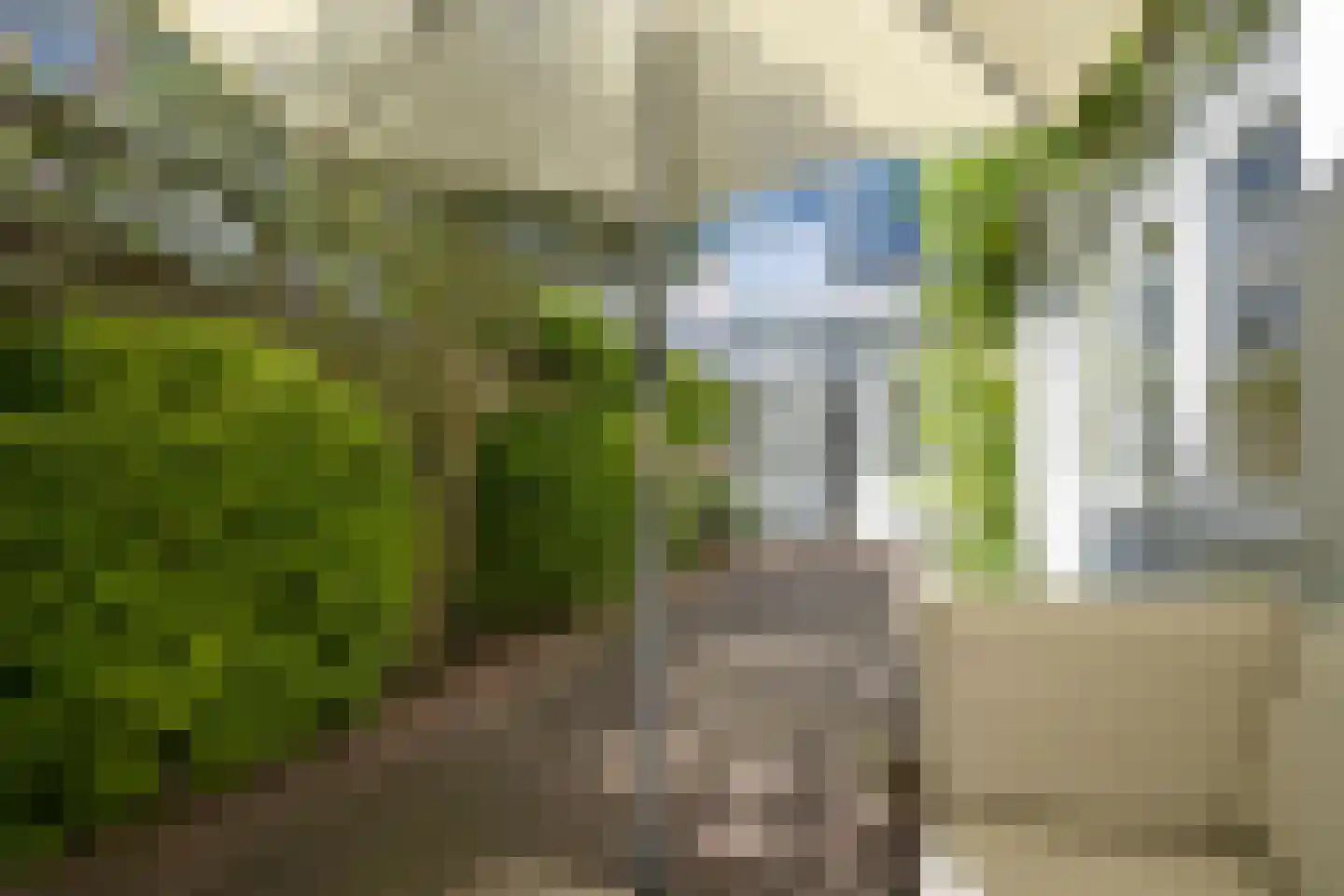 Van Swietenstraat 71 Den Haag thumbnail 29