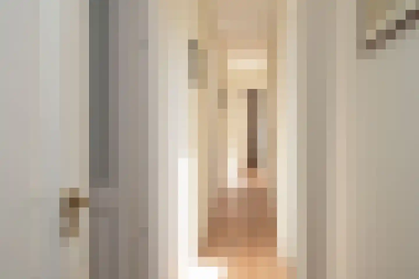 Van Swietenstraat 71 Den Haag thumbnail 34