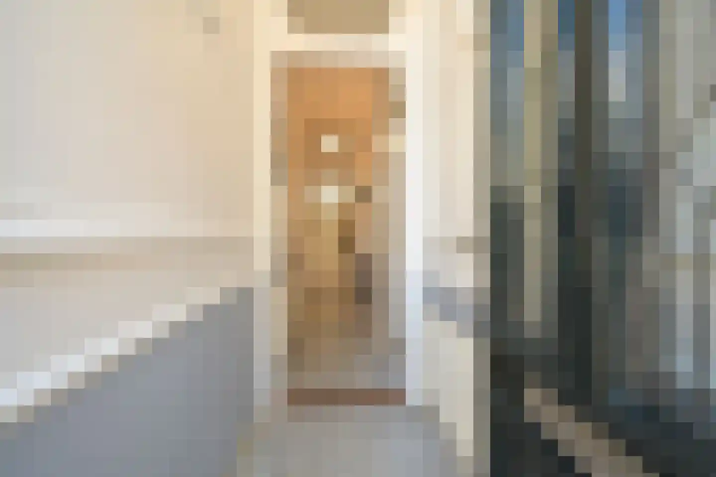 Van Swietenstraat 71 Den Haag thumbnail 4