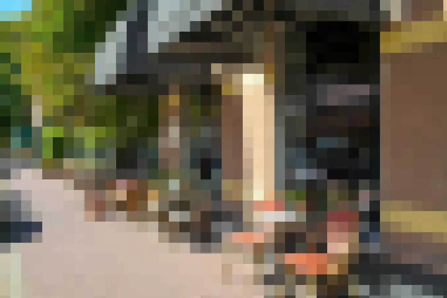 Van Swietenstraat 71 Den Haag thumbnail 55