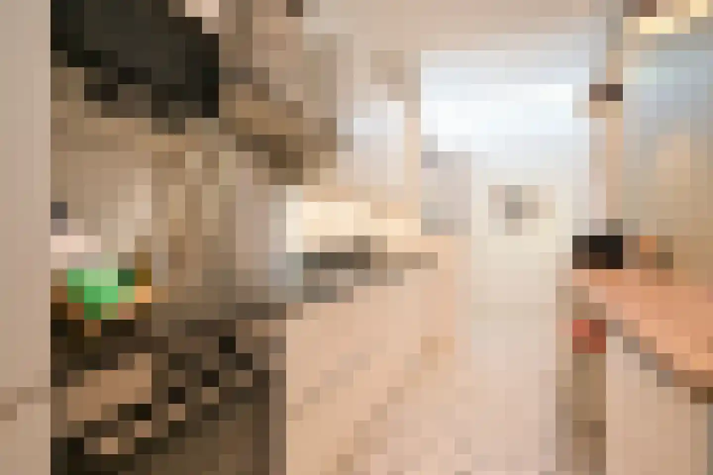 Van Swietenstraat 71 Den Haag thumbnail 8