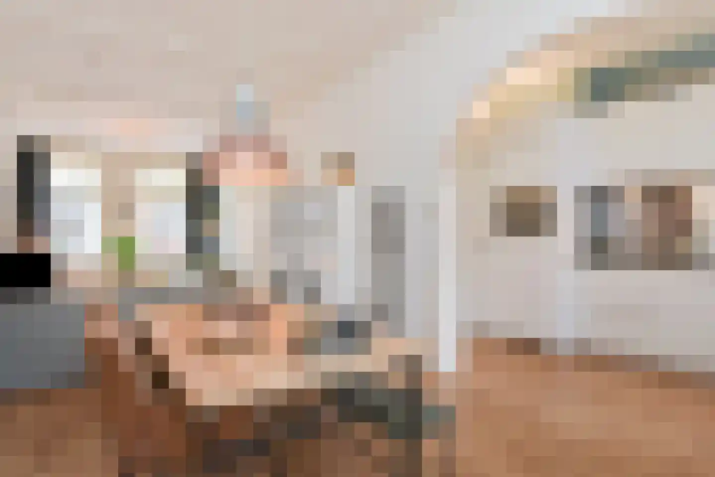 Van Swietenstraat 81 Den Haag thumbnail 16