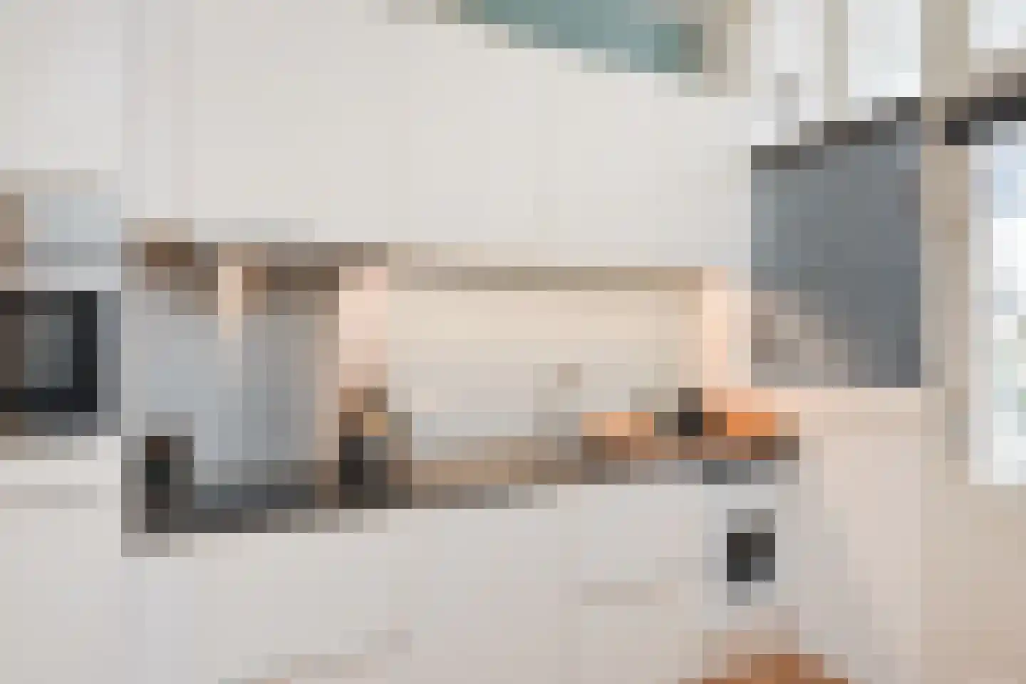 Van Swietenstraat 81 Den Haag thumbnail 4