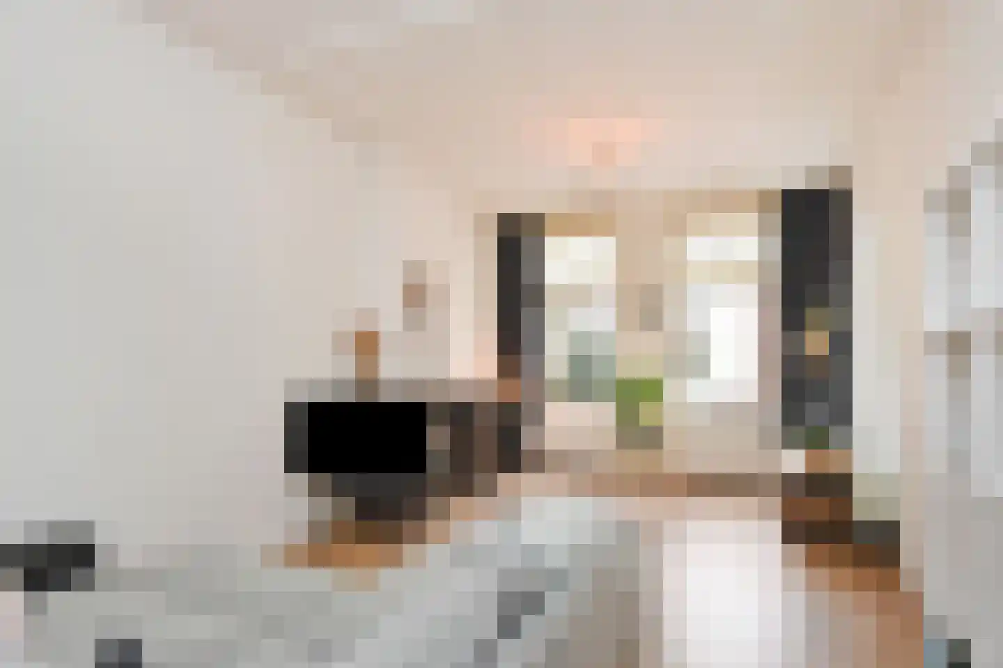 Van Swietenstraat 81 Den Haag thumbnail 8
