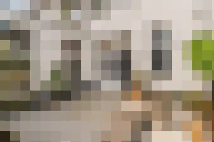 Van Swietenstraat 83 Den Haag thumbnail 4
