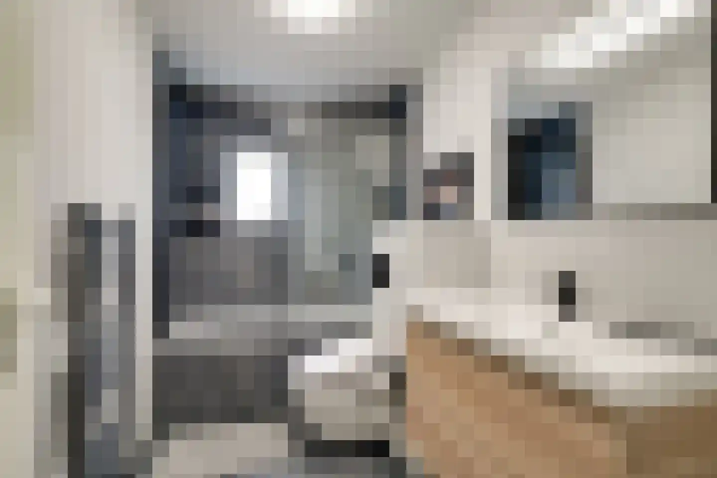 Van Swietenstraat 9 Haarlem thumbnail 23