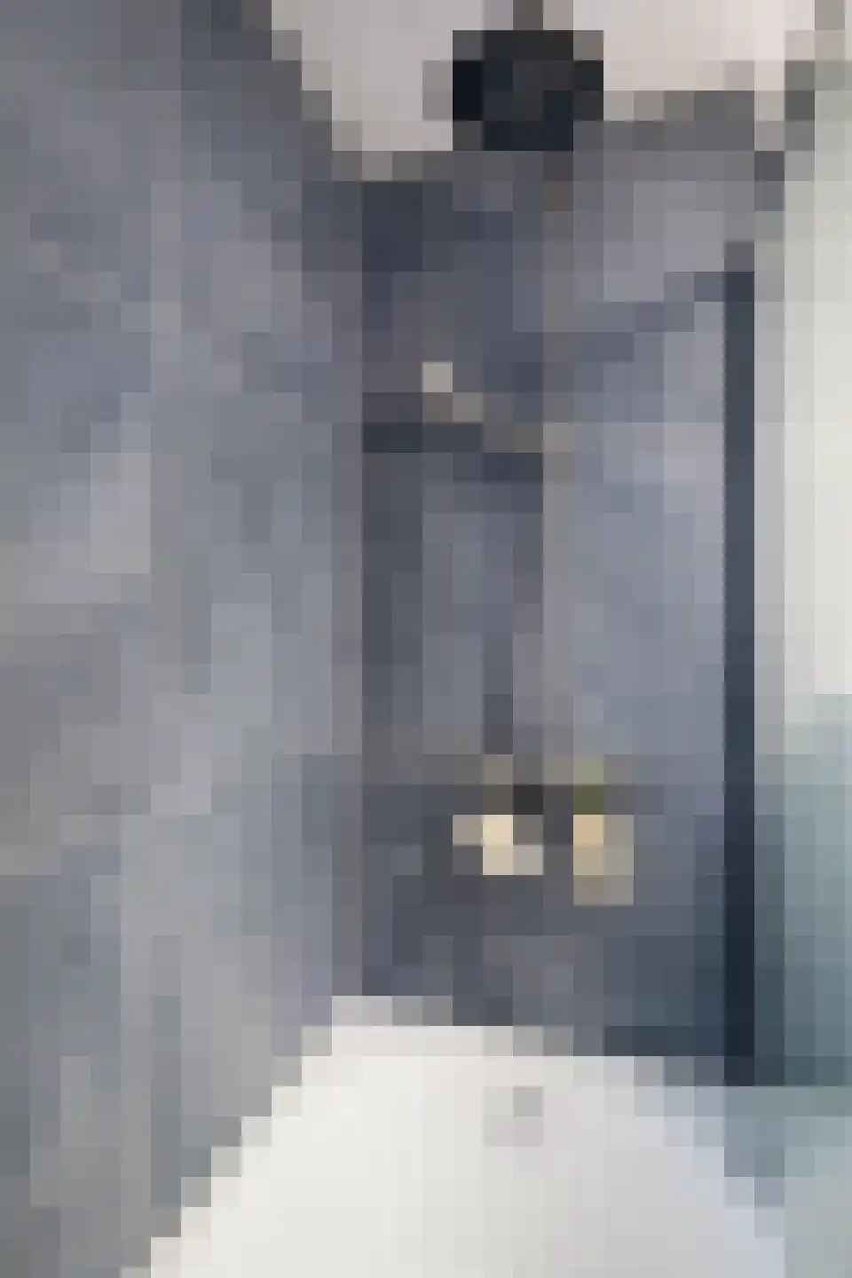 Van Swietenstraat 9 Haarlem thumbnail 24