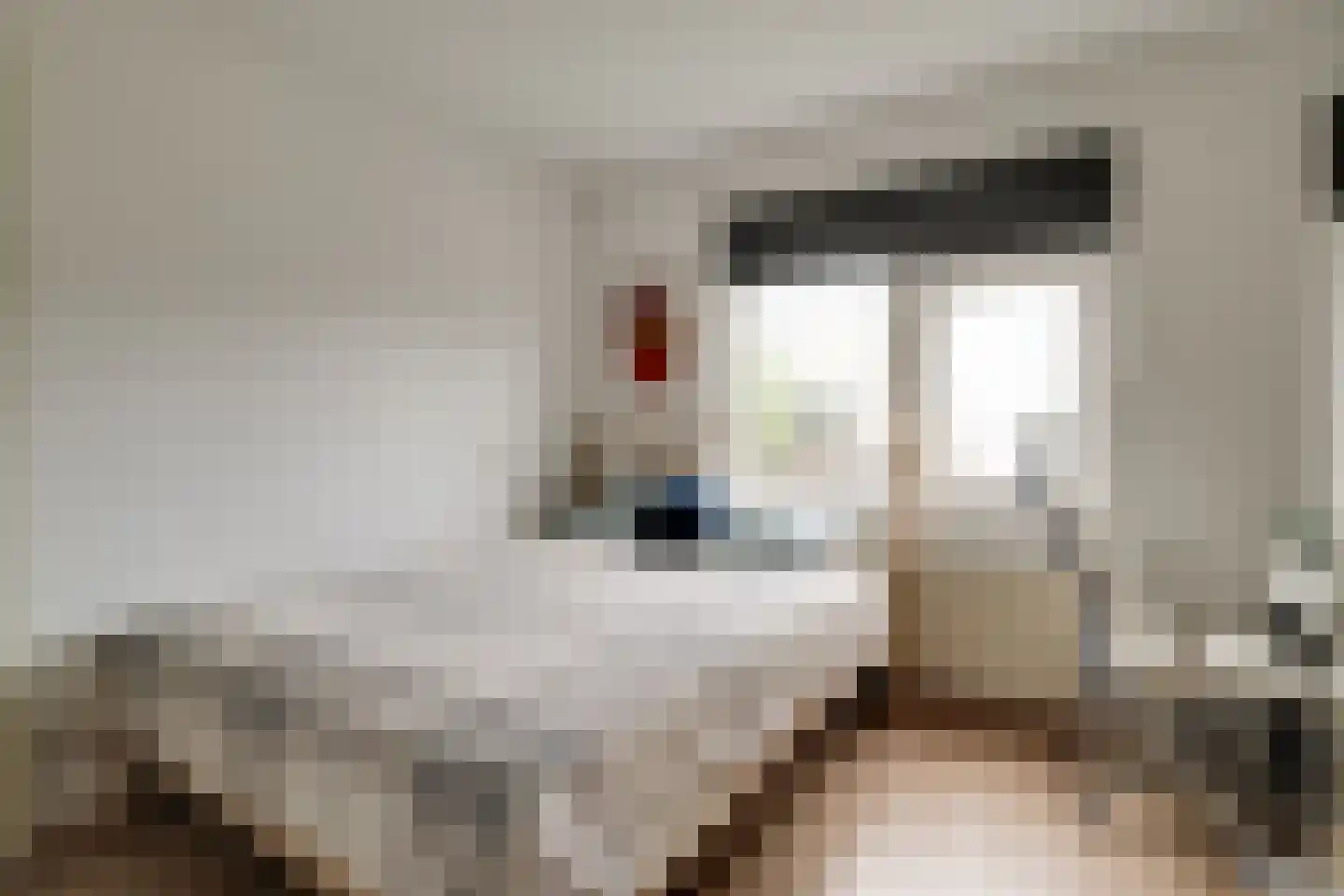 Van Swietenstraat 9 Haarlem thumbnail 29