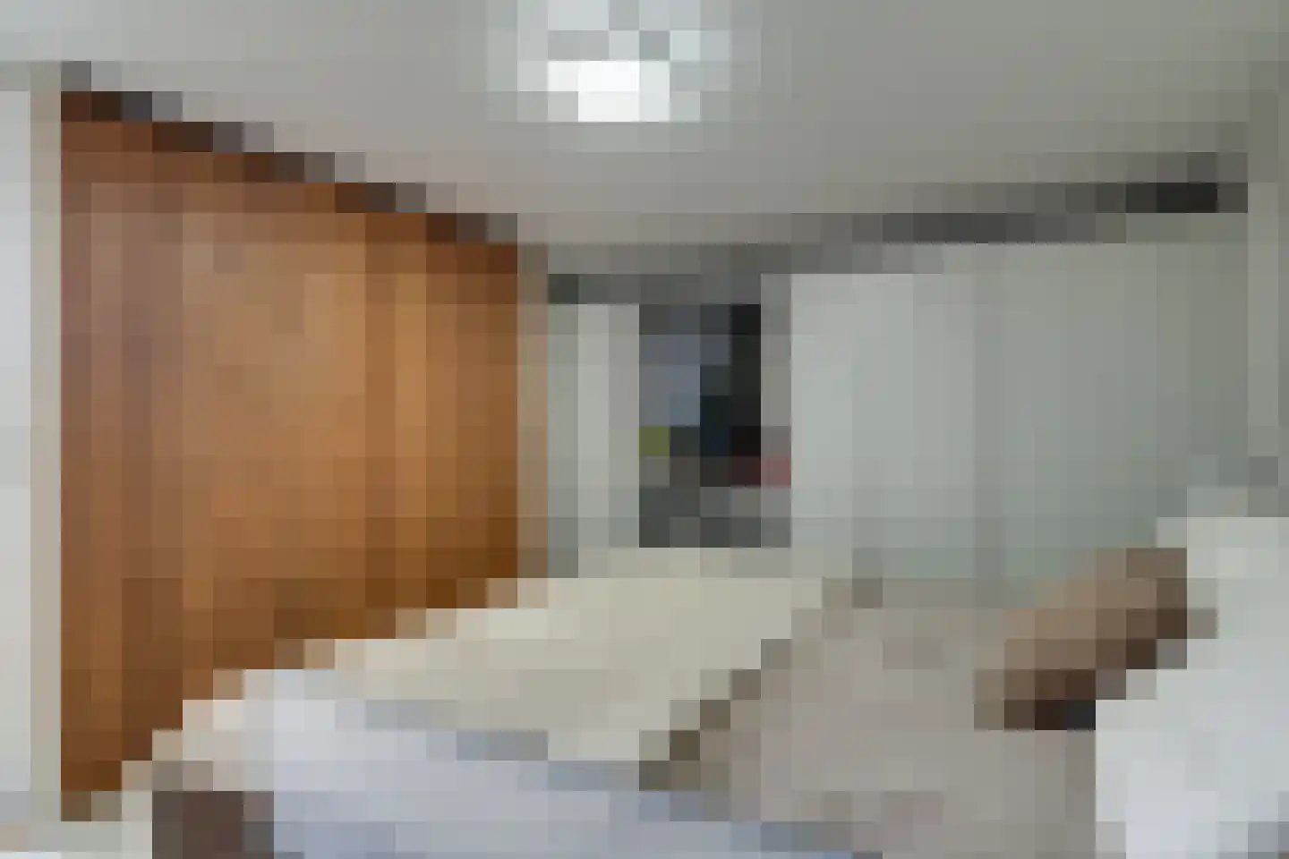 Van Swietenstraat 9 Haarlem thumbnail 34