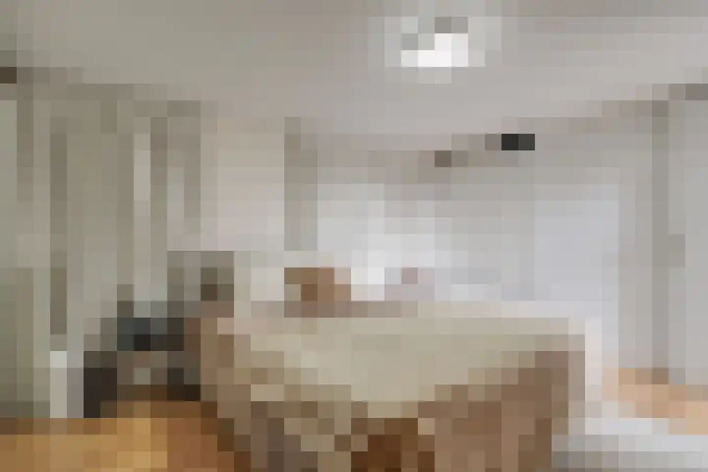 Van Swietenstraat 9 Haarlem thumbnail 35