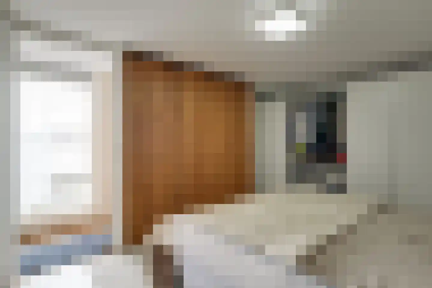 Van Swietenstraat 9 Haarlem thumbnail 37