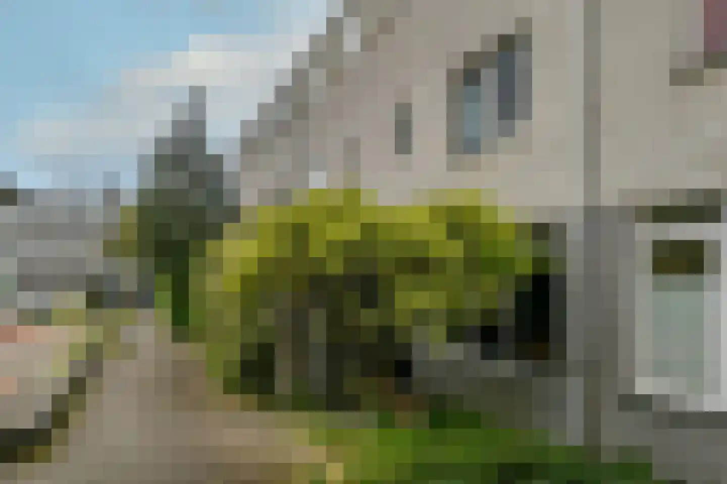 Van Swietenstraat 9 Haarlem thumbnail 41