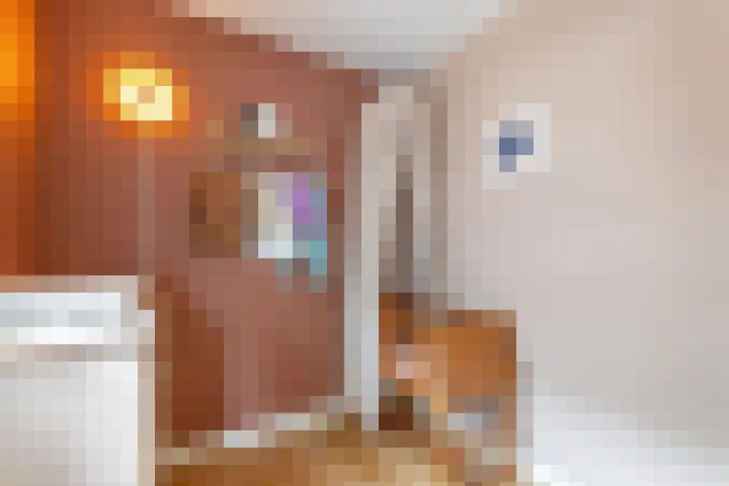 Van Swindendwarsstraat 101 Amsterdam thumbnail 20