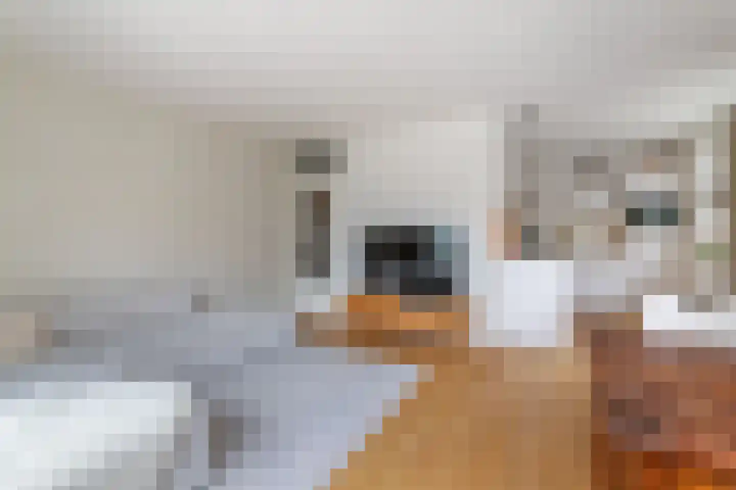 Van Swindendwarsstraat 101 Amsterdam thumbnail 5