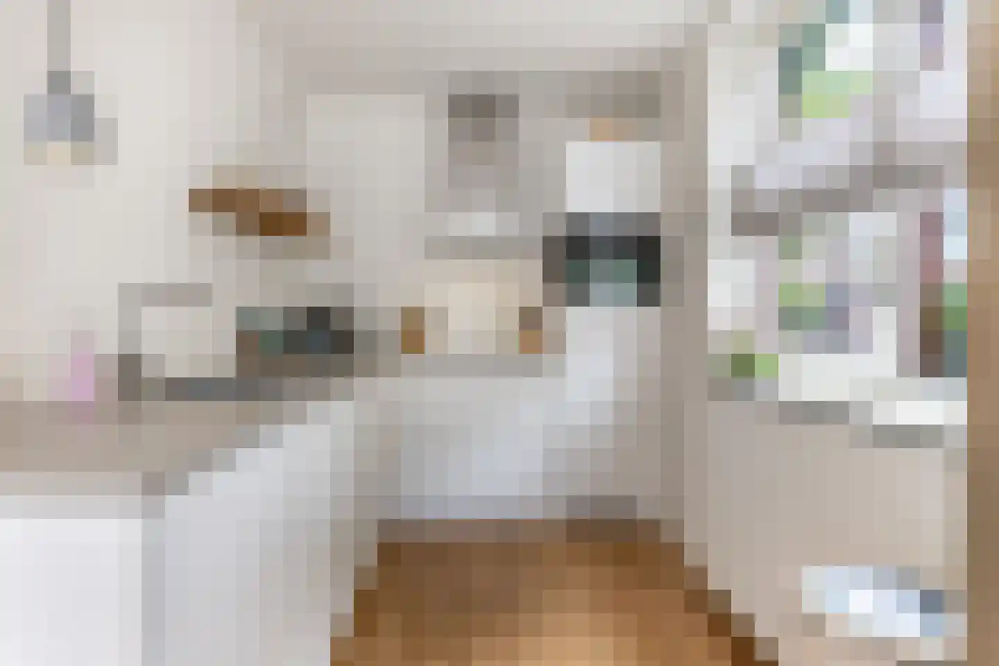 Van Swindendwarsstraat 101 Amsterdam thumbnail 7