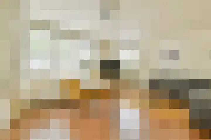 Van Swindendwarsstraat 63 Amsterdam thumbnail 5