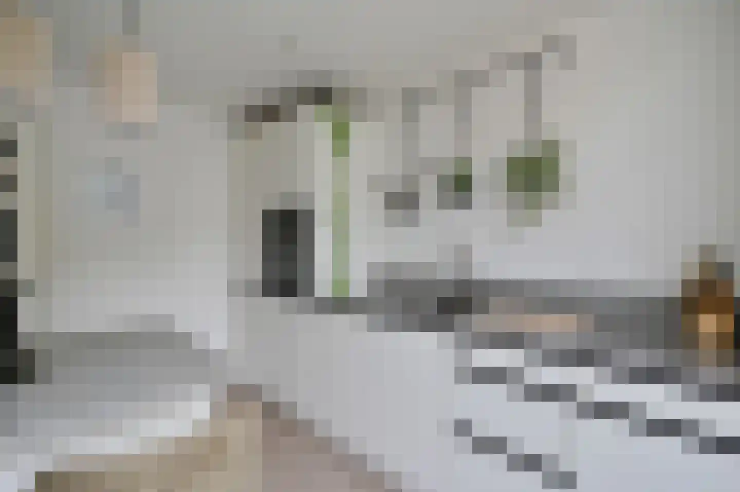 Van Swindendwarsstraat 66 Amsterdam thumbnail 10