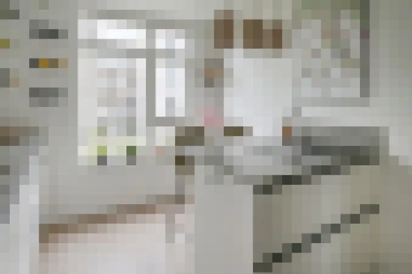 Van Swindendwarsstraat 66 Amsterdam thumbnail 11