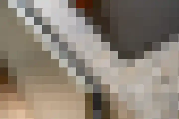 Van Swindendwarsstraat 92 Amsterdam thumbnail 8