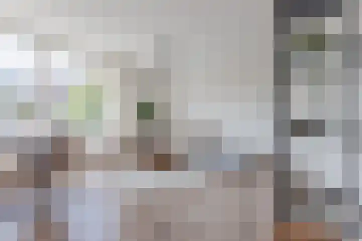 Van Swindendwarsstraat 99 Amsterdam thumbnail 7
